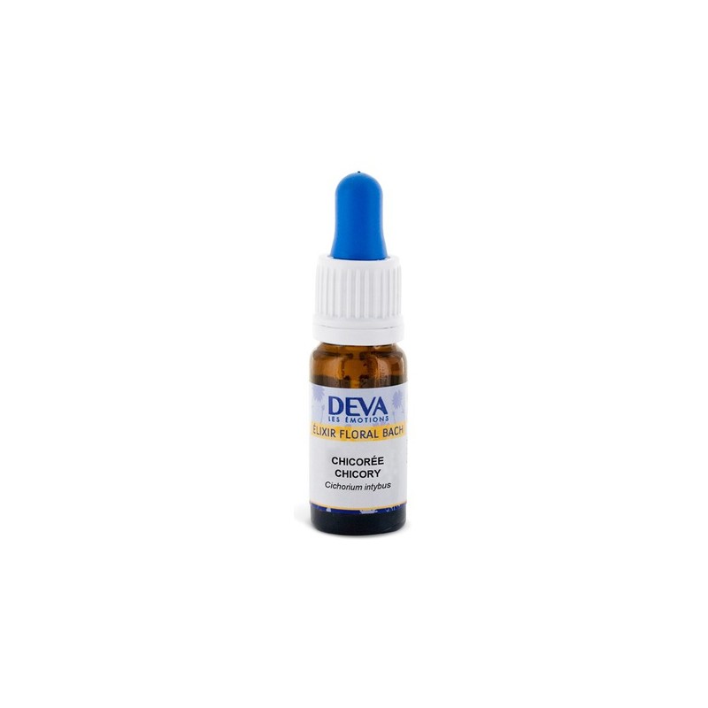 CHICORY chicorée 15ml