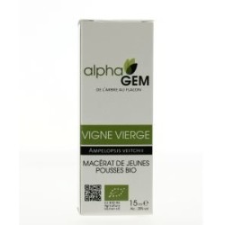 VIGNE VIERGE 50ml