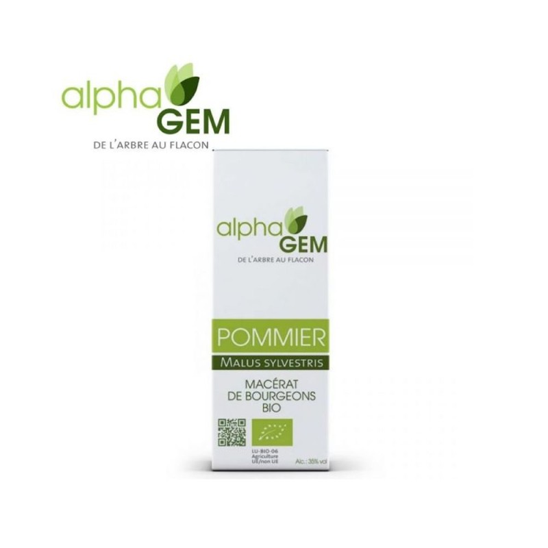 POMMIER 50ML